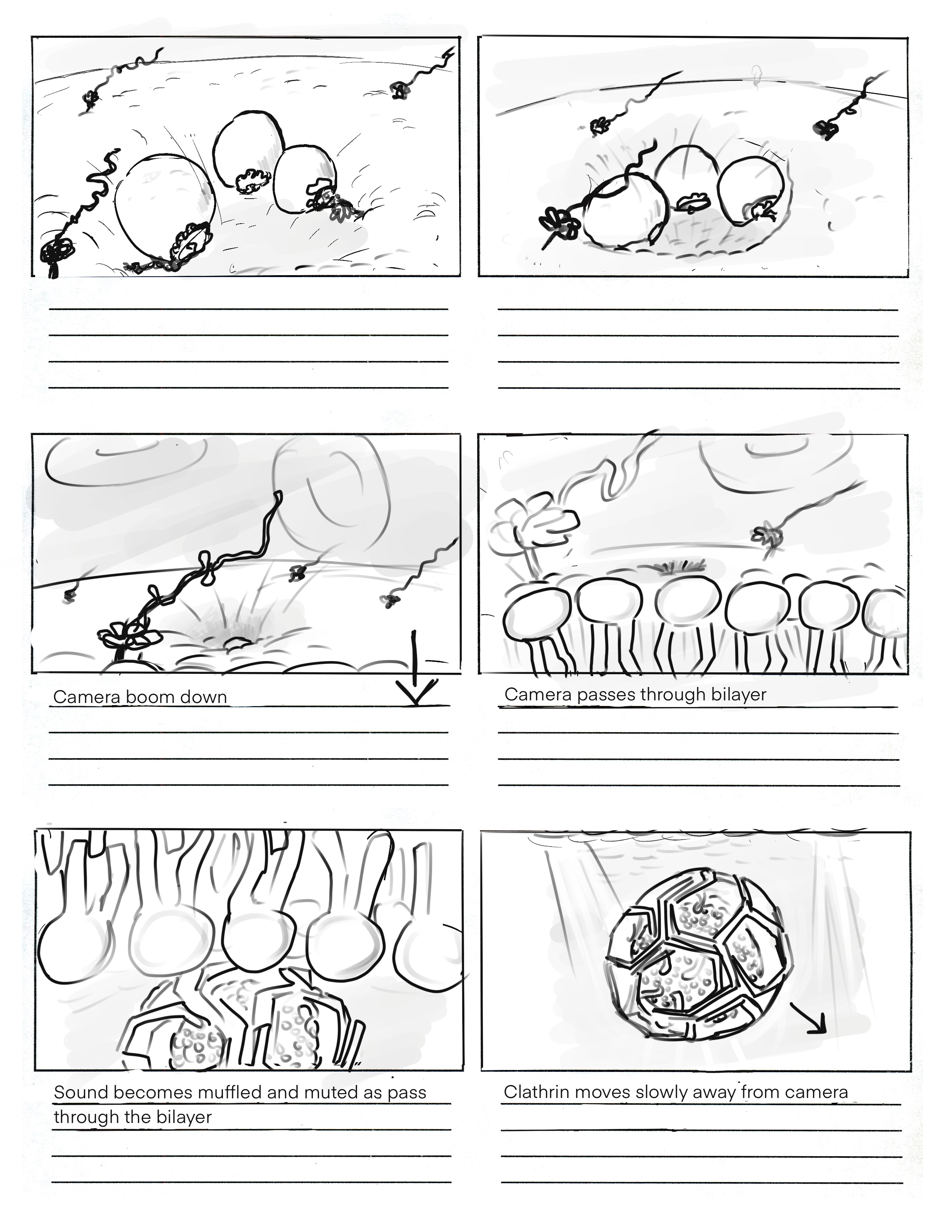 Storyboard