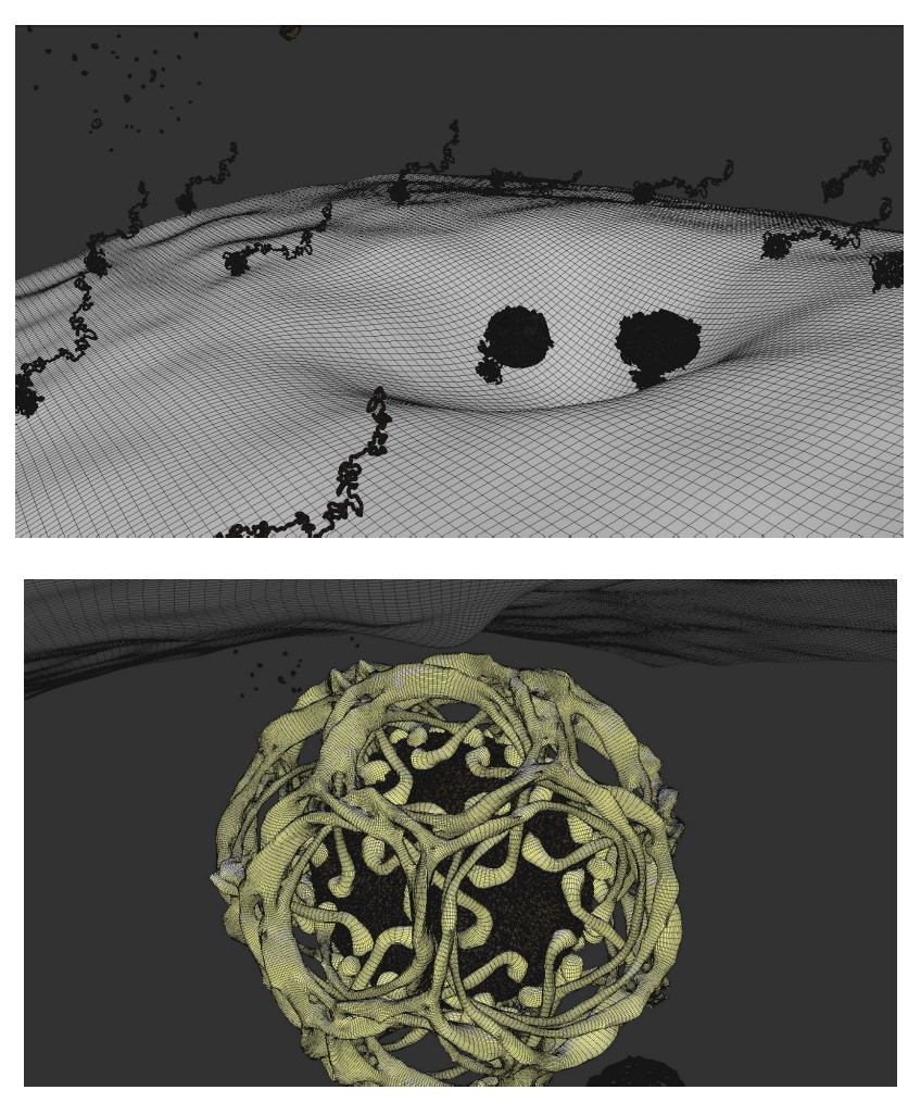 Wireframe